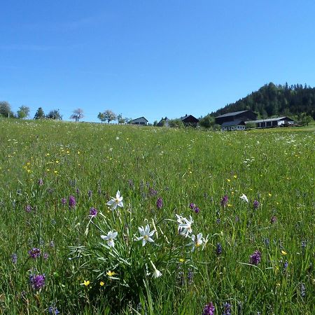 Bauernhof Ablass เกิสต์ลิง อัน แดร์อิบส์ ภายนอก รูปภาพ