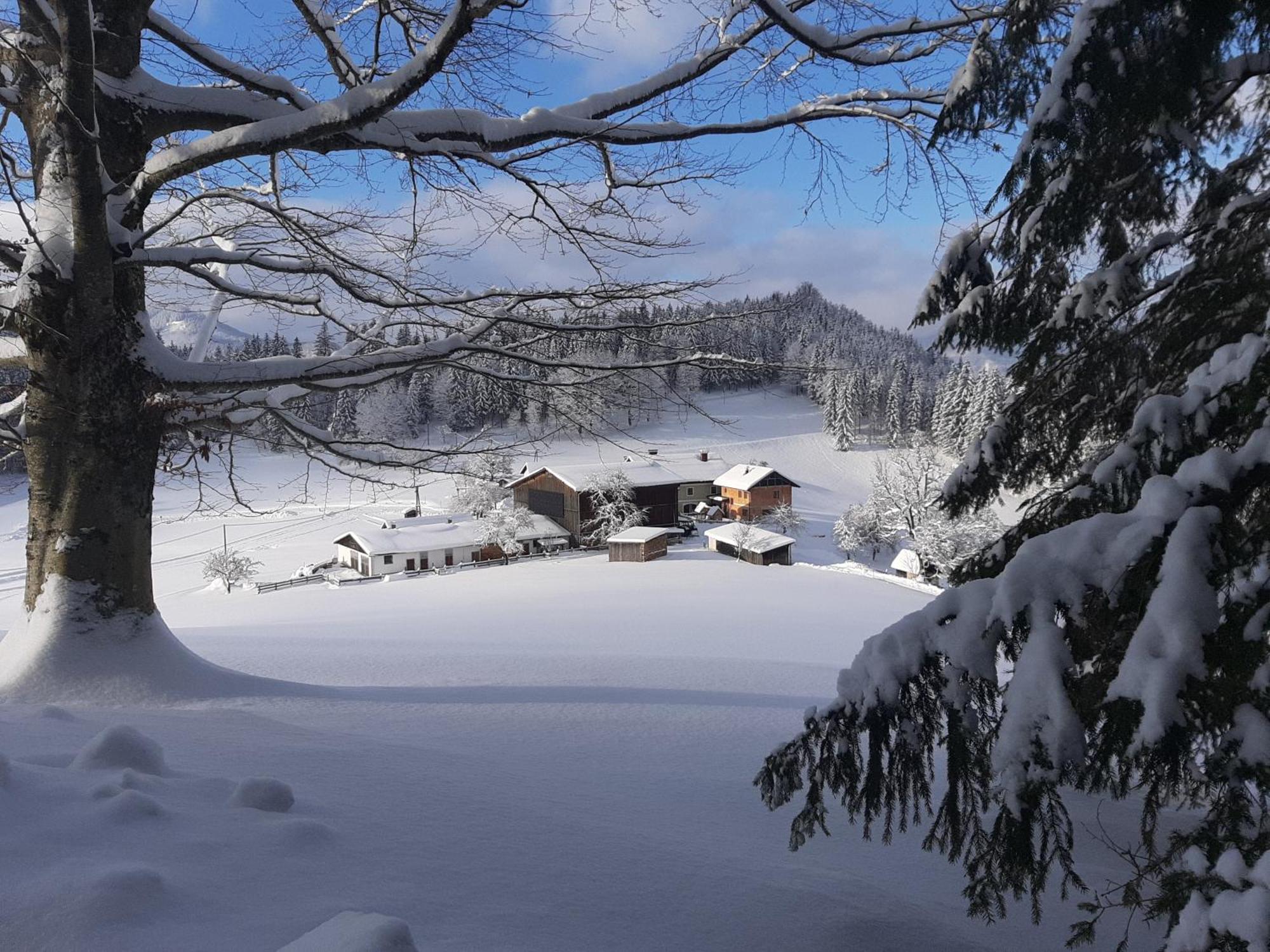 Bauernhof Ablass เกิสต์ลิง อัน แดร์อิบส์ ภายนอก รูปภาพ