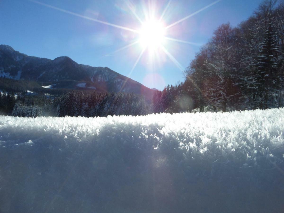 Bauernhof Ablass เกิสต์ลิง อัน แดร์อิบส์ ภายนอก รูปภาพ