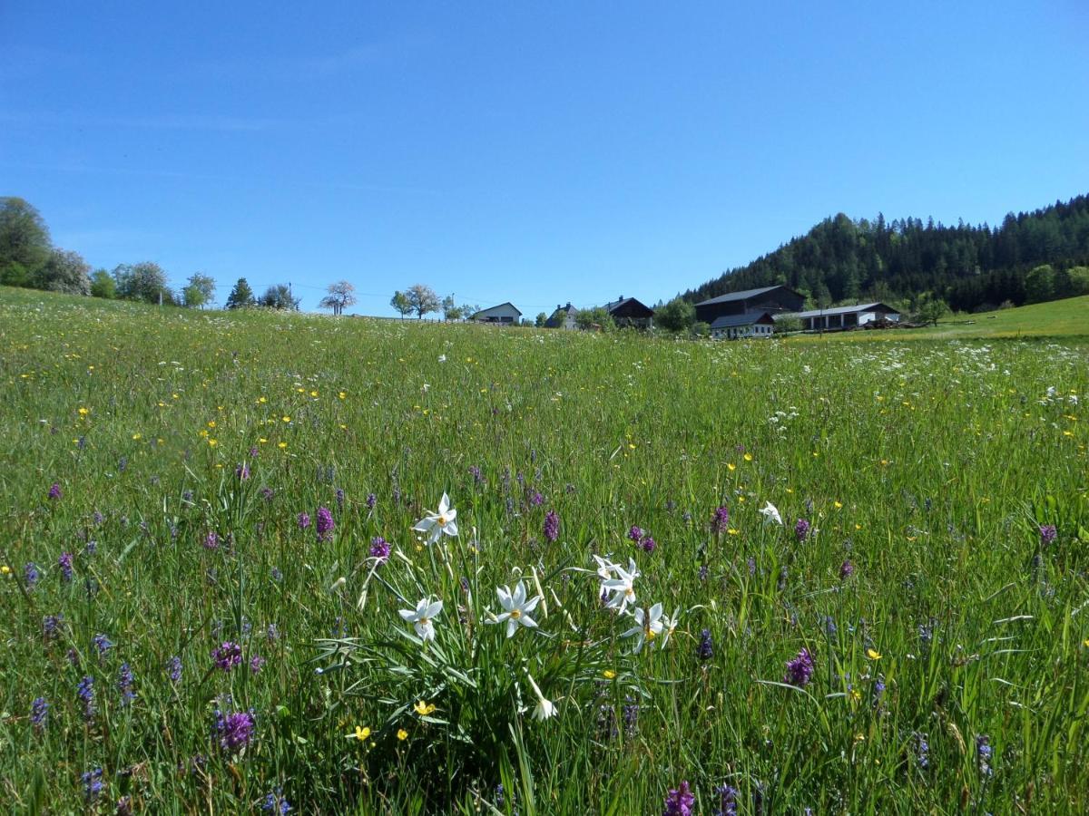 Bauernhof Ablass เกิสต์ลิง อัน แดร์อิบส์ ภายนอก รูปภาพ